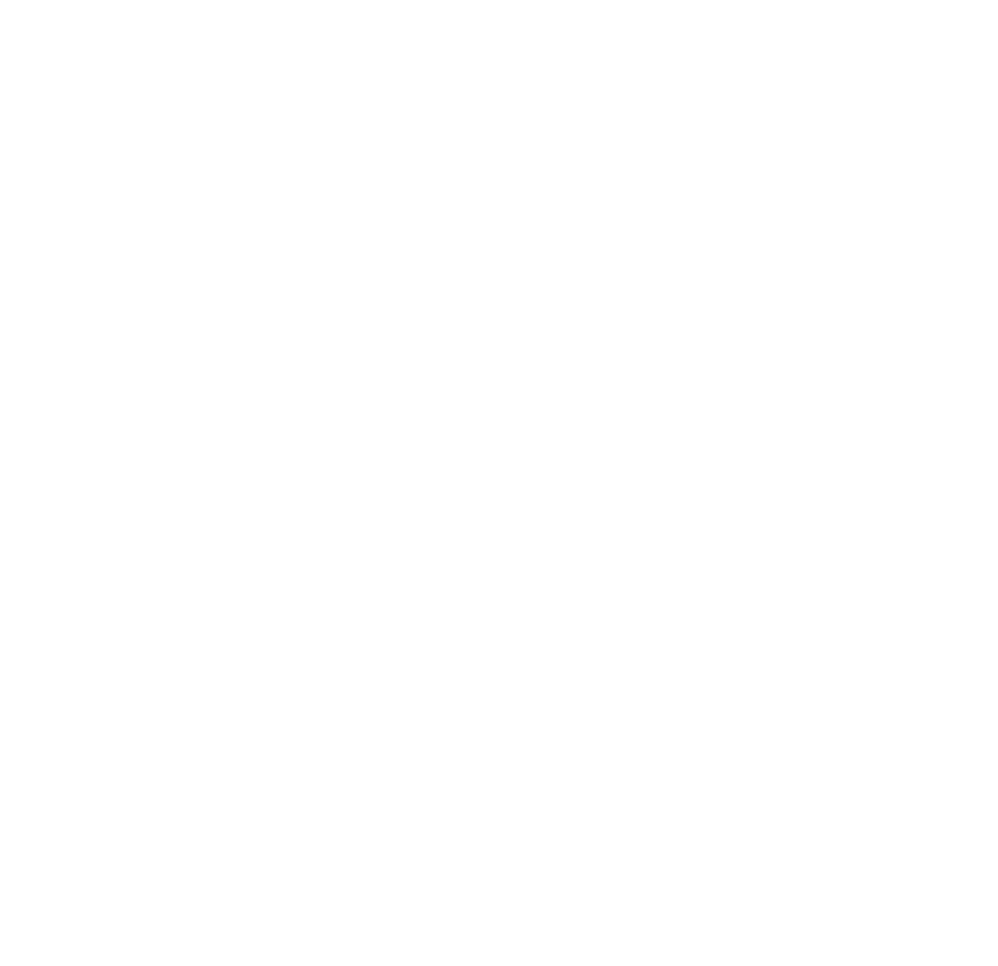 dror logo white transparent